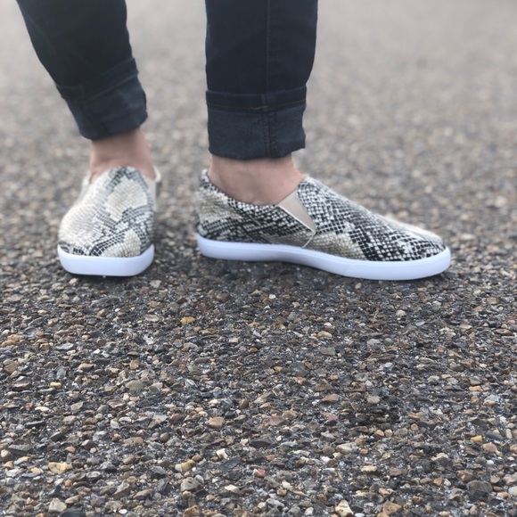 Snake Print Slip Ons - Picture 2 of 3